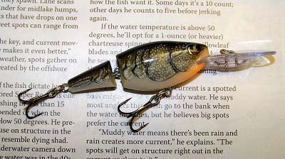 Deep Diving Crankbait