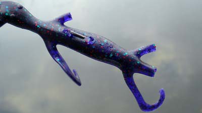 Torn Lizard