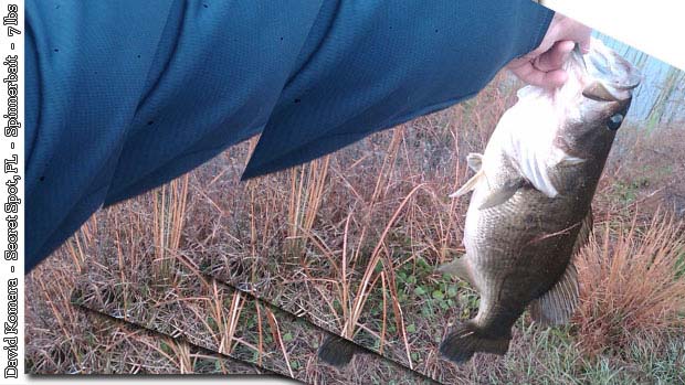 march bass