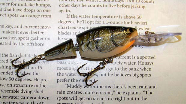 Winter Crankbait