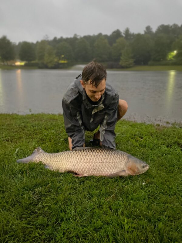 Catching Big Grass Carp