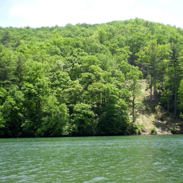 glenville-reservoir-fishing