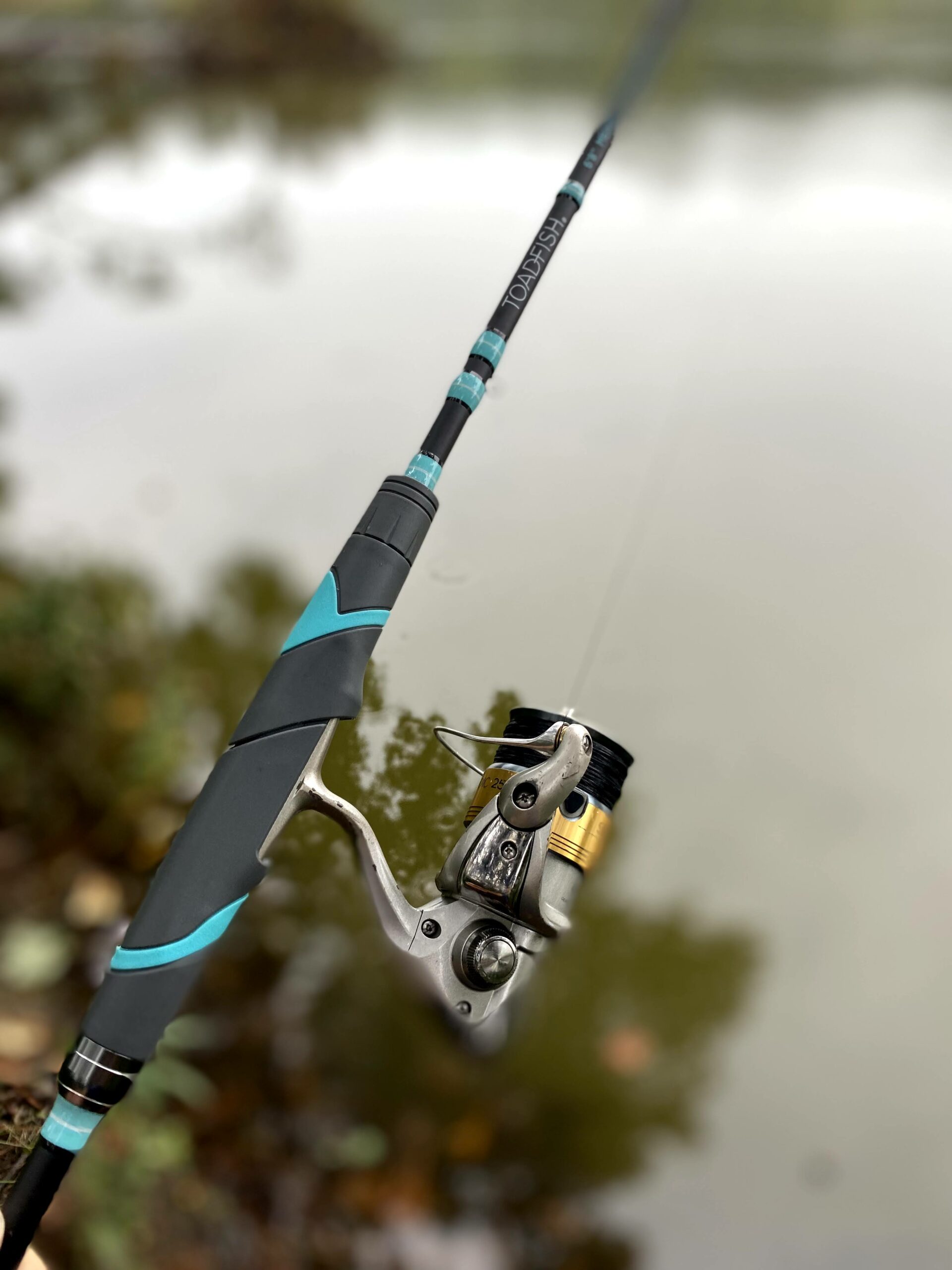 Toadfish Fishing Pole Review! 