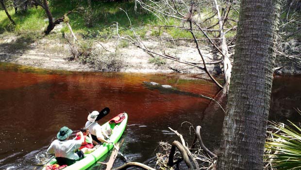 Monster Gator Kayak