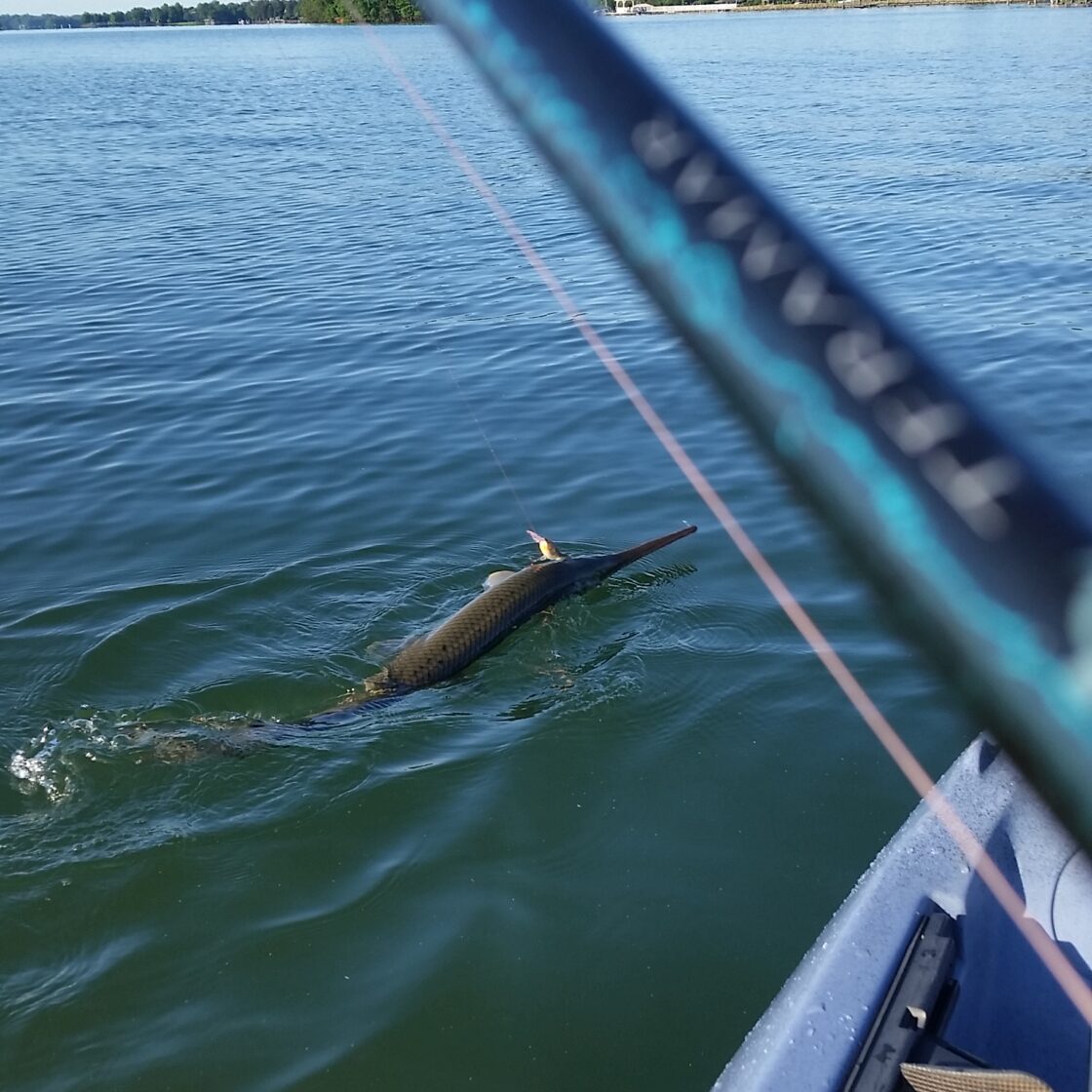 How to Catch Gar BassGrab