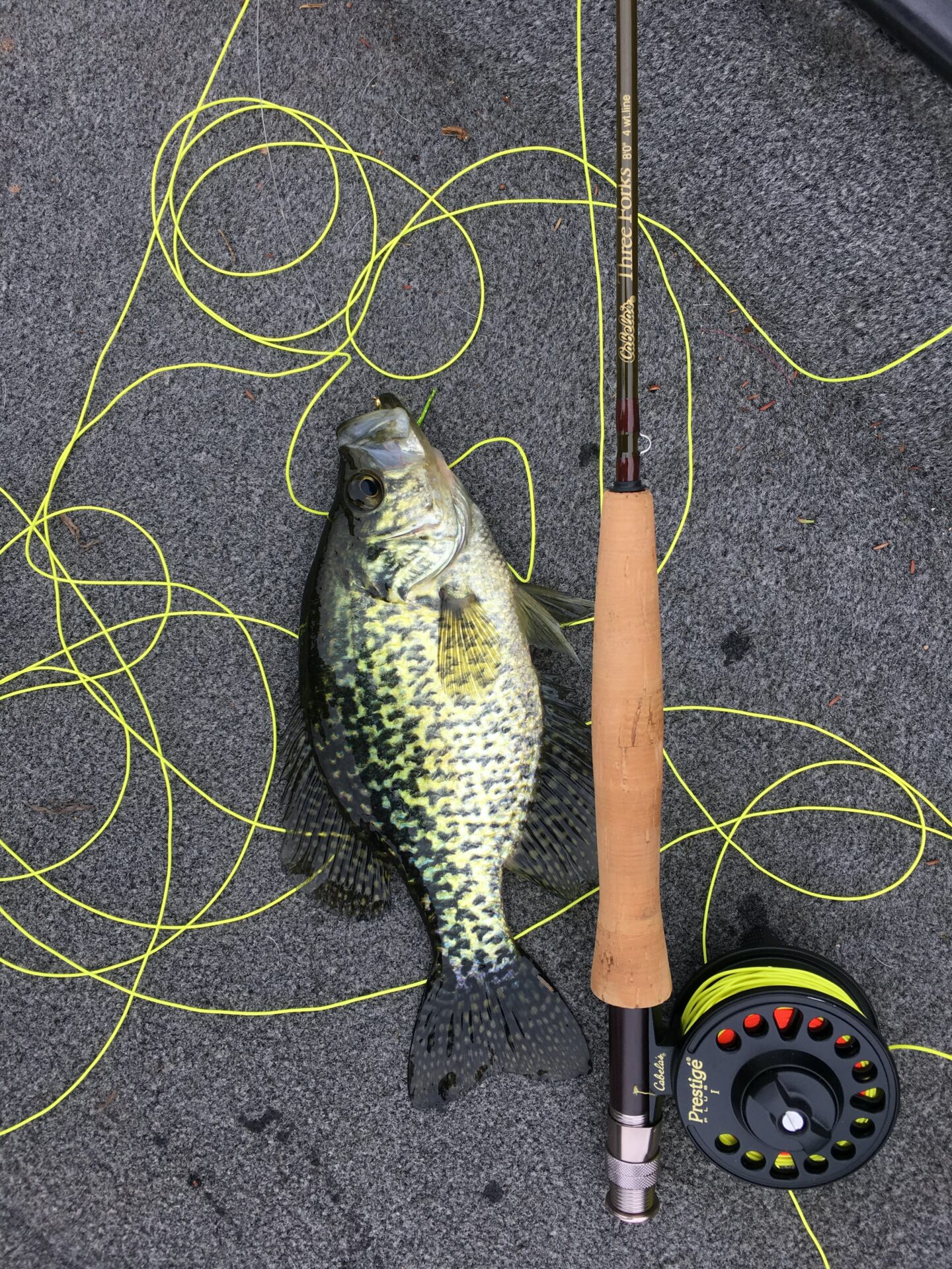 How to Catch Crappie - BassGrab