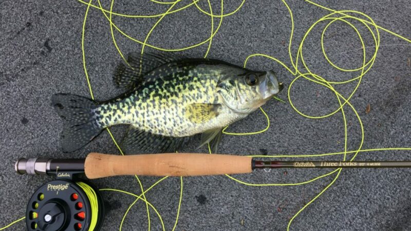 How to Catch Crappie - BassGrab