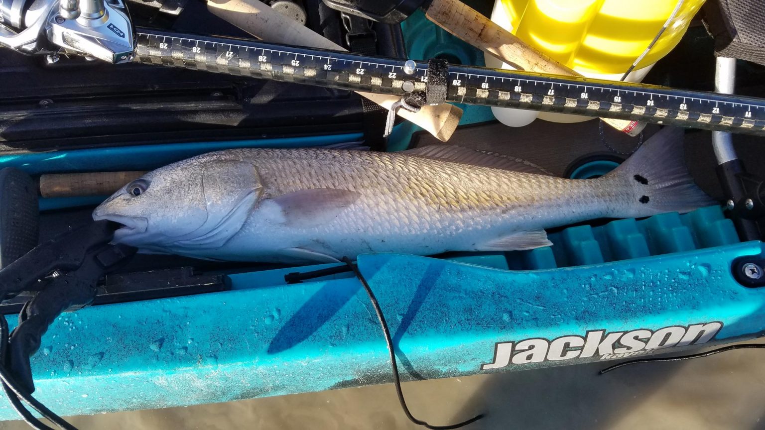 How to Choose a Kayak Paddle for Fishing BassGrab