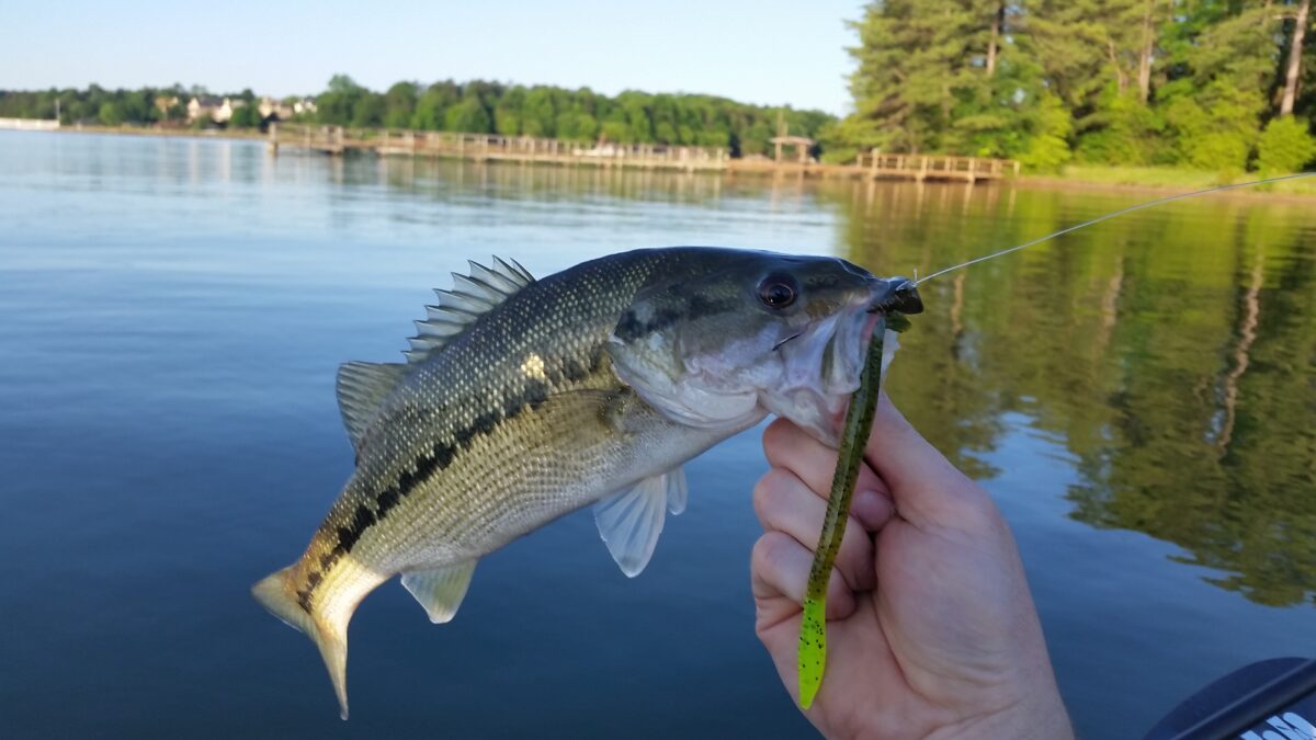 fishing-lakes-north-carolina