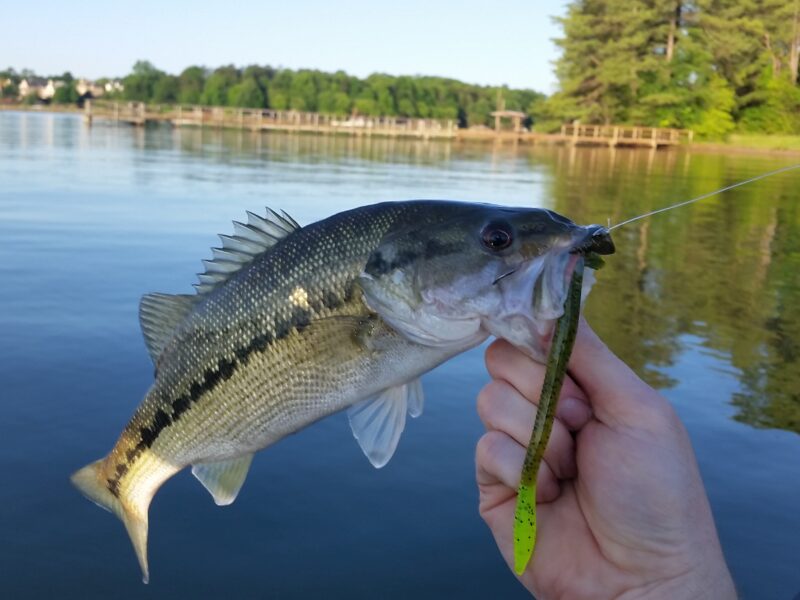 fishing-lakes-north-carolina