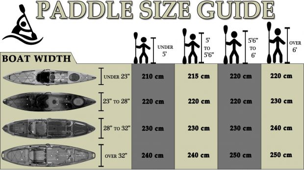 Dragon Boat Paddle Sizing Chart